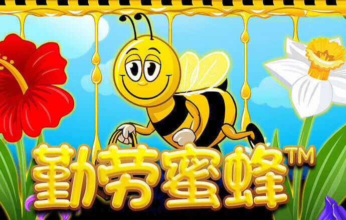zoty中欧体育网页版